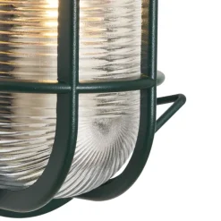 QAZQA Außenwand- und Deckenleuchte Dunkelgrün Oval IP44 - Noutica