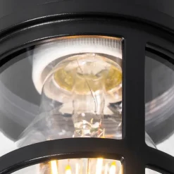 QAZQA Decken- und Wandleuchte schwarz mit klarem Schirm IP54 - Kiki