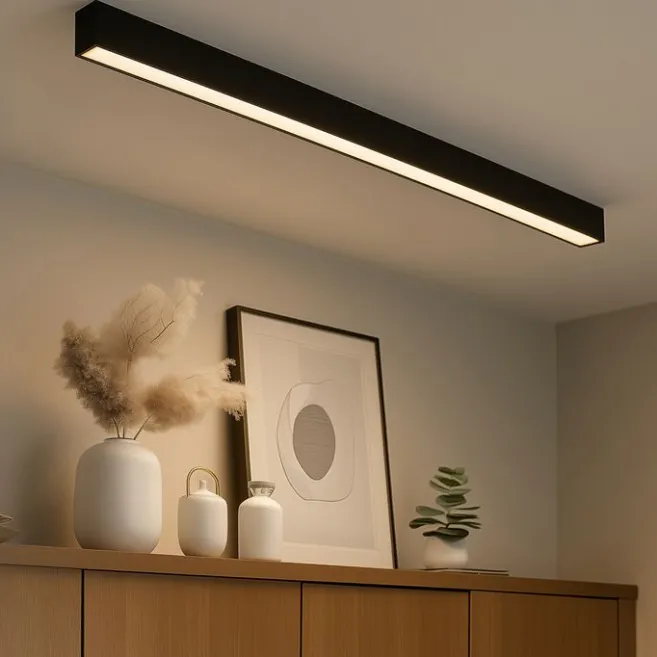 QAZQA Professional Deckenleuchte schwarz inkl. LED 3-Stufen-Dimmbar 2700-4000K mit Dip-Schalter - Keane