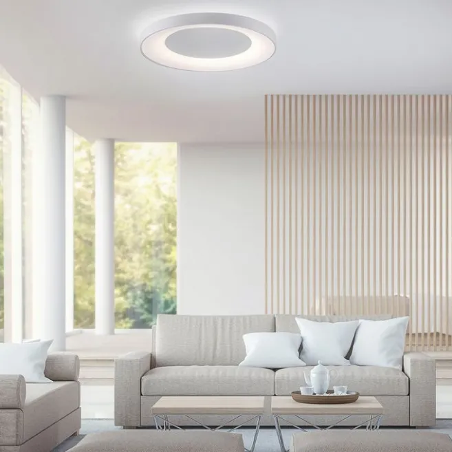 Paul Neuhaus Deckenleuchte weiß inkl. LED mit Fernbedienung - Meidan