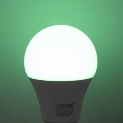 LUUMR E27 Dimmbare LED-Glühbirne A60 Opal 9W 806lm 2700-6500K