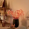 Luca Lighting 5er-Set Weihnachtsstecker rot mit weißen Zuckerstangen inkl. LED mit Timer IP44 - Melchior