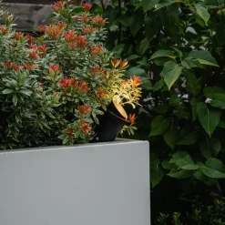 QAZQA Gartenstrahler schwarz inkl. Kabel und Stecker IP65 - Done