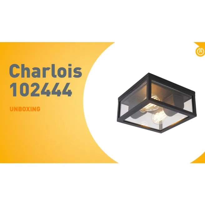 QAZQA Industrielle Deckenleuchte schwarz IP44 - Charlois