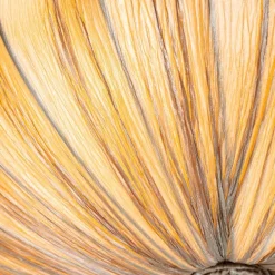 Kinder QAZQA Japandi Deckenleuchte Beige 60cm 5-flammig - Plu