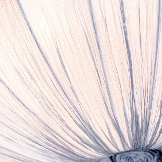 Kinder QAZQA Japandi Deckenleuchte Grau 60cm 5-flammig - Plu