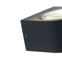 Paul Neuhaus Moderne Außenwandleuchte schwarz inkl. LED 2-flammig IP54 - Carla