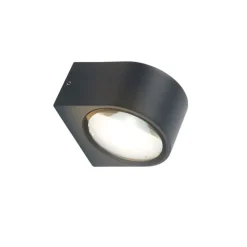 Paul Neuhaus Moderne Außenwandleuchte schwarz inkl. LED 2-flammig IP54 - Carla