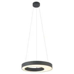 QAZQA Moderne Hängelampe schwarz 50cm inkl. LED 3-Stufen-Dimmbar - Organici