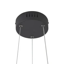 QAZQA Moderne Hängelampe schwarz 50cm inkl. LED 3-Stufen-Dimmbar - Organici