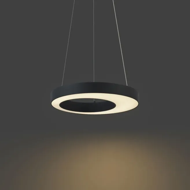 QAZQA Moderne Hängelampe schwarz 50cm inkl. LED 3-Stufen-Dimmbar - Organici