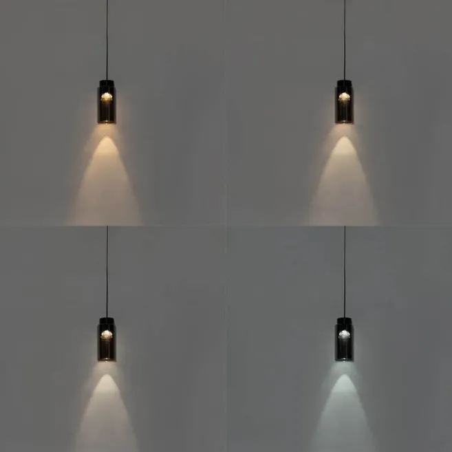 QAZQA Moderne schwarze Pendelleuchte für Schienensystem 1-phasig inkl. LED - Magnetic Vance