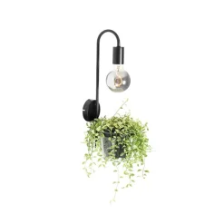 QAZQA Moderne Wandlampe schwarz mit Glas - Roslini