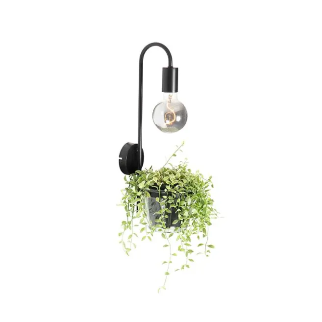 QAZQA Moderne Wandlampe schwarz mit Glas - Roslini