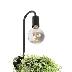 QAZQA Moderne Wandlampe schwarz mit Glas - Roslini