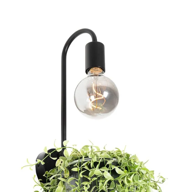 QAZQA Moderne Wandlampe schwarz mit Glas - Roslini