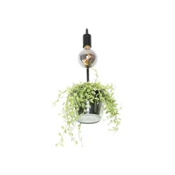 QAZQA Moderne Wandlampe schwarz mit Glas - Roslini