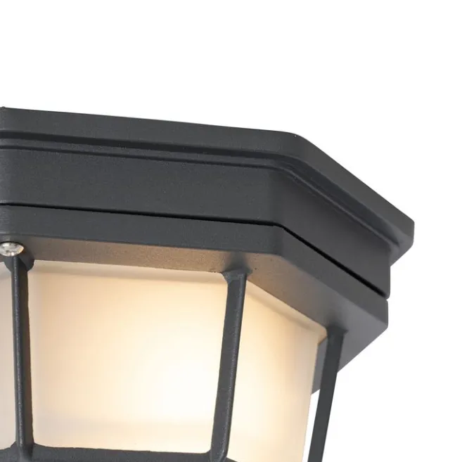 QAZQA Rural Deckenleuchte dunkelgrau IP44 - Bri S