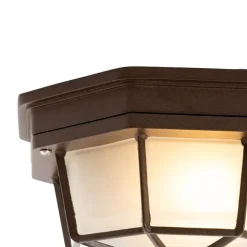 QAZQA Rustikale Deckenleuchte Rostbraun 21,3 cm IP44 - Bri