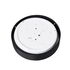 Calex Smarte Deckenleuchte schwarz 30cm inkl. LED RGB mit Fernbedienung - Taiko