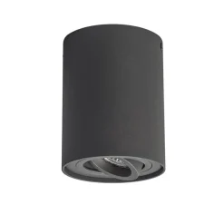 QAZQA Smarter Aufbauspot dunkelgrau kippbar inkl. Wifi GU10 - Rondoo up