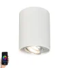 QAZQA Smarter Aufbaustrahler weiß und Stahl neigbar inkl. Wifi GU10 - Rondoo up