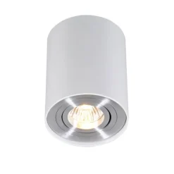 QAZQA Smarter Aufbaustrahler weiß und Stahl neigbar inkl. Wifi GU10 - Rondoo up