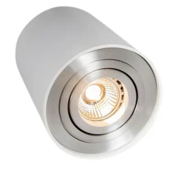 QAZQA Smarter Aufbaustrahler weiß und Stahl neigbar inkl. Wifi GU10 - Rondoo up