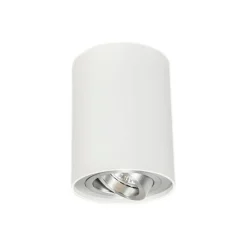 QAZQA Smarter Aufbaustrahler weiß und Stahl neigbar inkl. Wifi GU10 - Rondoo up