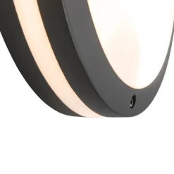 QAZQA Wand- und Deckenleuchte Dunkelgrau 2-flammig IP54 - Glow