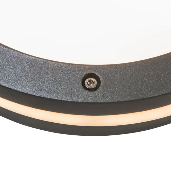 QAZQA Wand- und Deckenleuchte Dunkelgrau 2-flammig IP54 - Glow