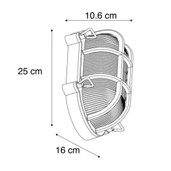 QAZQA Wand- und Deckenleuchte Gold / Messing oval IP44 - Noutica