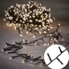 Luca Lighting Weihnachtsbeleuchtung grün mit 700 LEDs weiß 14m IP44 - Prancer